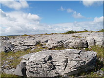 R3194 : Burren National Park, Weathered Limestone by Adrian King