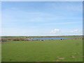 View across farmland to Llyn Coron