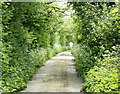 2008 : The Fosse Way near Dunkerton