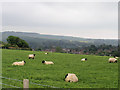 Winton Street, Alfriston, East Sussex