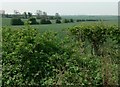 Countryside south of Buckminster, Leicestershire