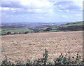 Viewpoint to the Tamar