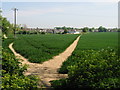 Footpath to Walmer