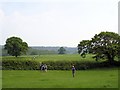 Tattenhall - the Eddisbury Way