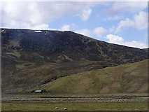 NH5208 : Meall nan Ruadhag above Allt Easgainn by Sarah McGuire