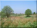 Moorland beside Drumchapel