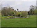 Test Way, Water Meadows