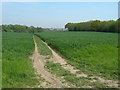 Footpath near Ranscombe Farm, Cuxton