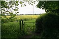 Kissing gate into rape field