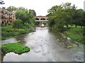 River Mole in Leatherhead