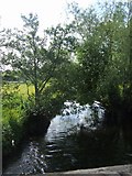 SO8480 : River Stour upstream of Cookley Bridge by John M