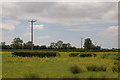 Rough pasture on the Caldicot Levels near Redwick