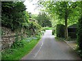 Lane running parallel to Wensley Beck