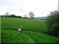 Nature Reserve: Leyburn Old Glebe Field