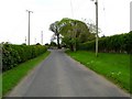 Ballyvester Road, near Donaghadee [2]