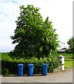 Tree and bins, Ballyatwood Road