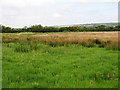 Farmland near Kidwelly