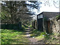 Footpath behind the houses on St David