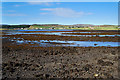 The head of Loch Dunvegan at low tide