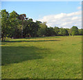 River meadow to the north of New Inn Bridge