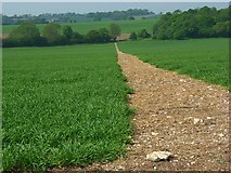 SU5554 : Footpath through wheat, Hannington by Andrew Smith
