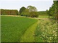 Fields amongst woodland near Stockbridge