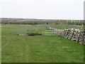 Footpath across pastureland, Preston under Scar