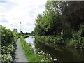 Montgomery canal looking south.