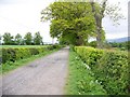 Farm track leading to Milton of Buchanan