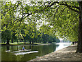 A sculler on the River Great Ouse