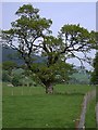 Pentre Cilcwm in Cwm Twymyn