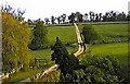 Track leading from Broad Oak Farm