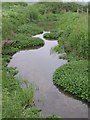 Watercourse in the Frome valley