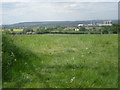 Across the fields to Haughmond Hill