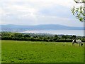 Field above Holywood