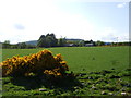 View to Snob Cottage