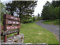 Lough Navar Forest