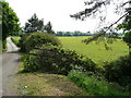 Field by the entrance to Riley