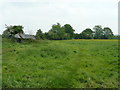 Footpath in the field