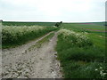 Wessex Downland