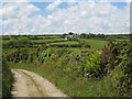SW7433 : View towards Halvosso from track to Higher Spargo quarry by Rod Allday