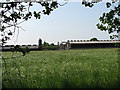 Poultry sheds