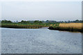 TG4703 : Inlet, River Waveney by Pierre Terre
