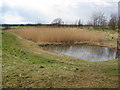 SK4964 : Pleasley Pit Country Park - Pond View by Alan Heardman
