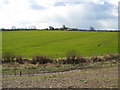 Pleasley Pit Country Park - Footpath View