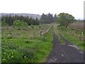 Lane near Formoyle Hill