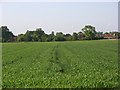 Farmland, Hurst