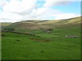 Dodd Fell and Duerley Bottom