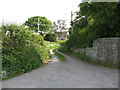 Access lane linking Cororion Farm and neighbouring houses with the B4409 at Tregarth