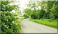 The Annaghbane Road near Loughbrickland